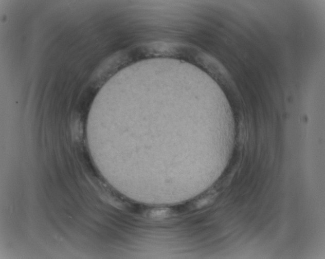 X0000084050173200703161906