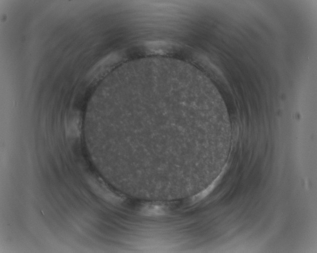 X0000084050174200703161906