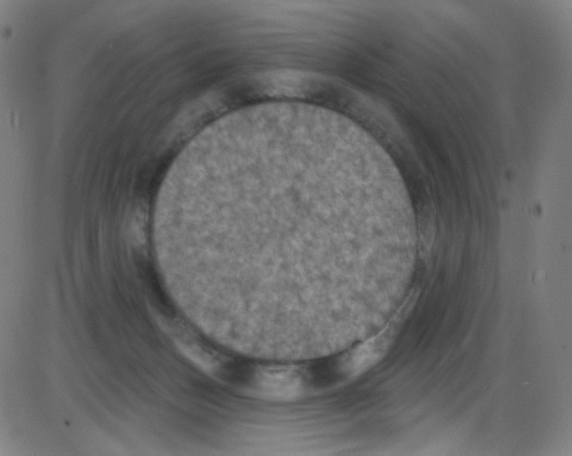 X0000084050175200703161906