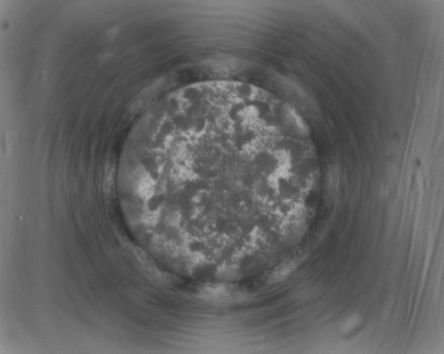 X0000084050177200703161906