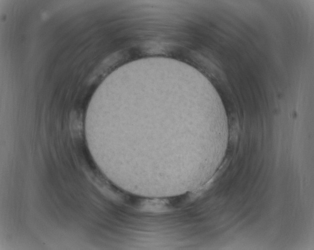 X0000084050179200703161906