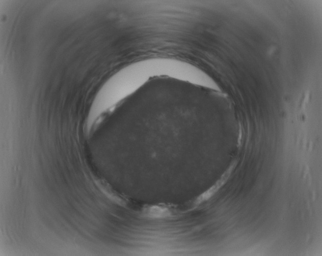 X0000084050180200703161906