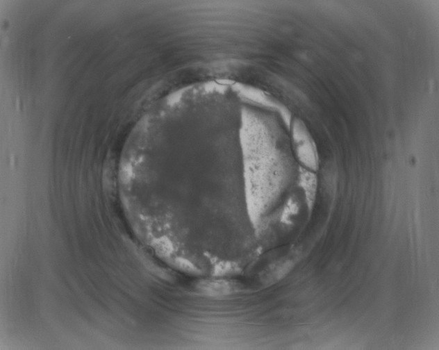 X0000084050181200703161906