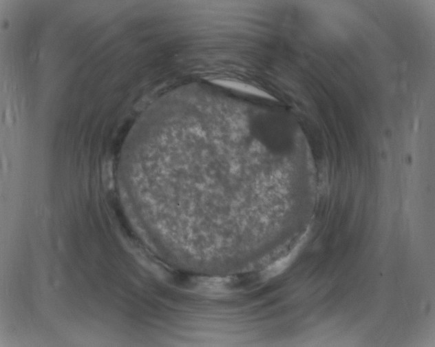 X0000084050182200703161906