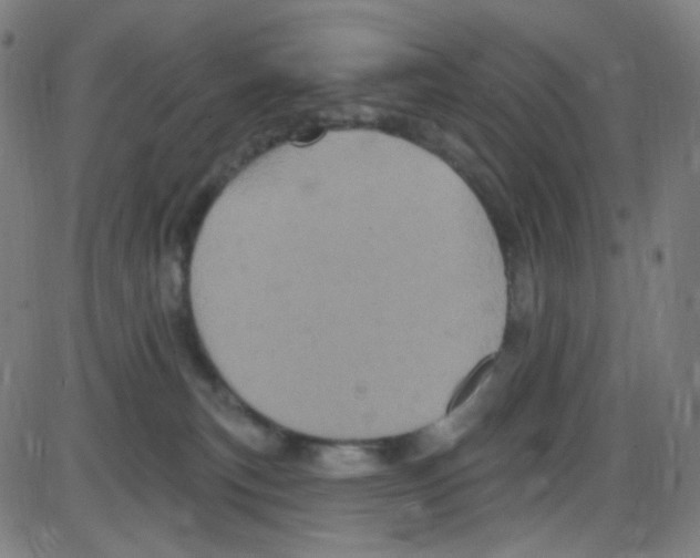 X0000084050183200703161906