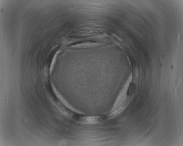 X0000084050184200703161906