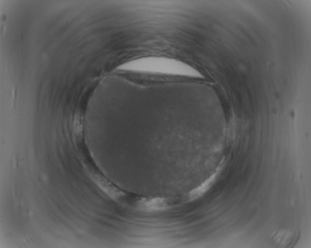 X0000084050186200703161906