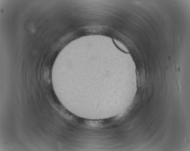 X0000084050187200703161906