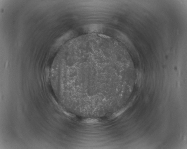 X0000084050189200703161906