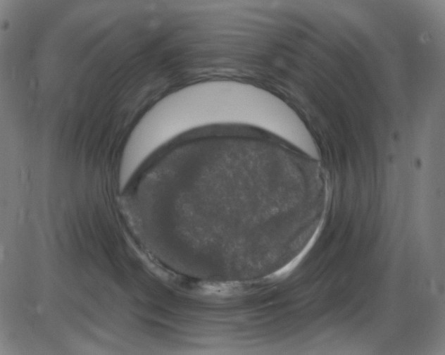 X0000084050190200703161906