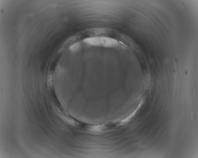 X0000084050191200703161906