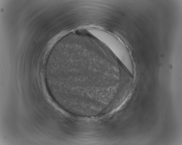 X0000084050193200703161905