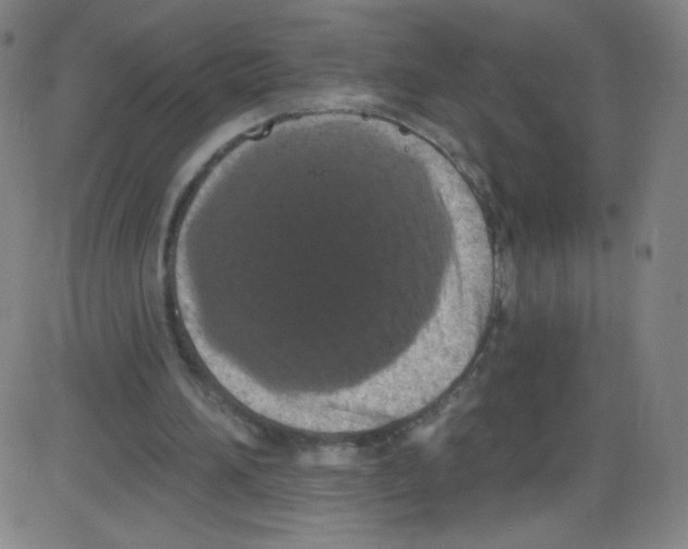 X0000084050196200703161905