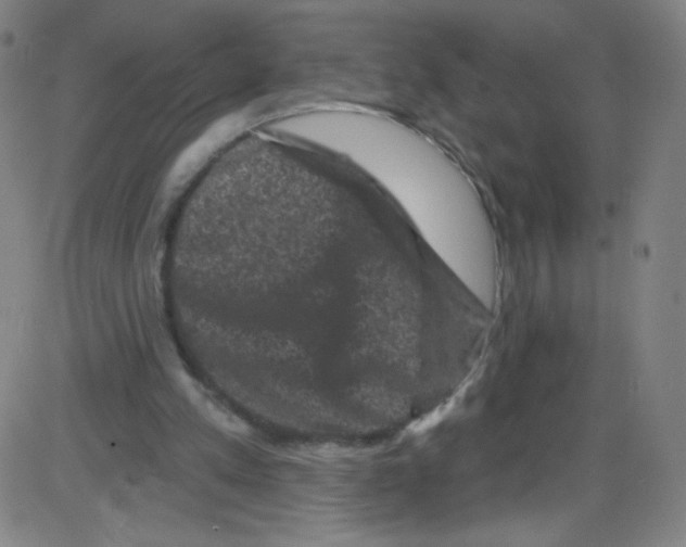 X0000084050197200703161905