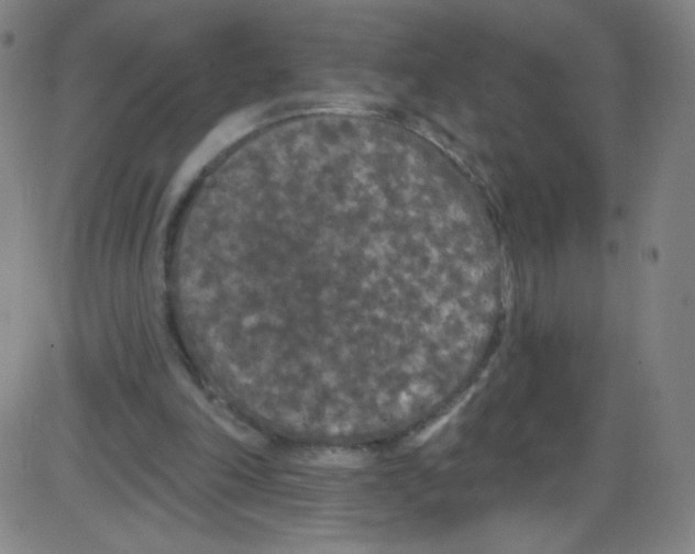 X0000084050198200703161905