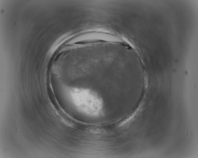 X0000084050199200703161905