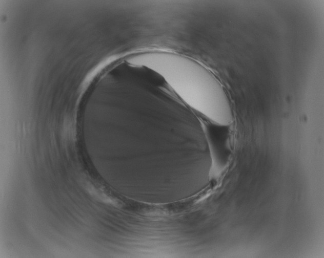 X0000084050200200703161905