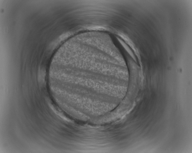 X0000084050201200703161905