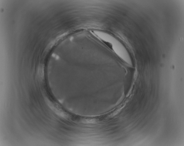 X0000084050202200703161905