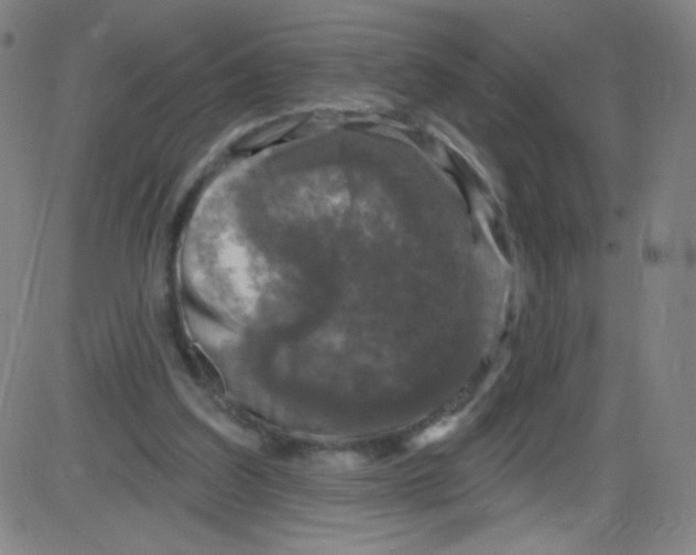 X0000084050203200703161905