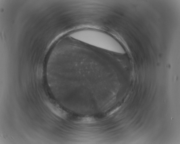 X0000084050204200703161905