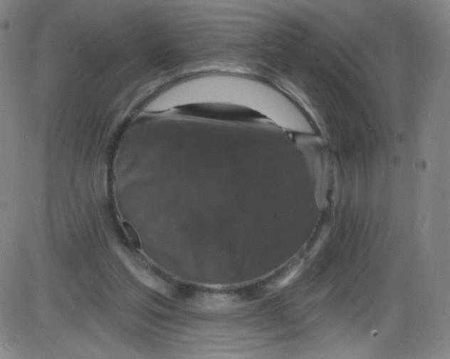 X0000084050205200703161905