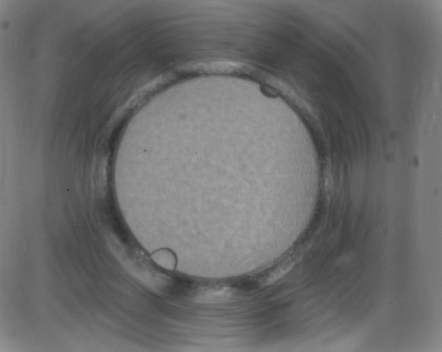 X0000084050206200703161905