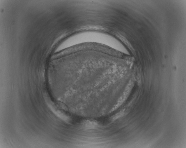 X0000084050207200703161905