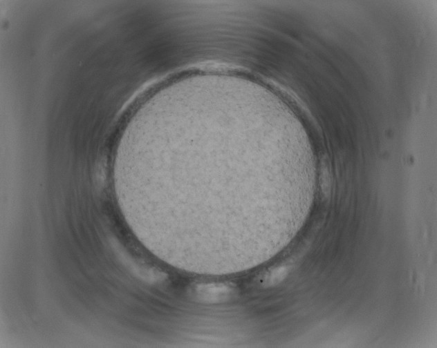 X0000084050208200703161905