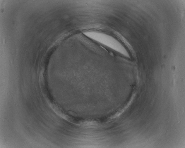 X0000084050209200703161905