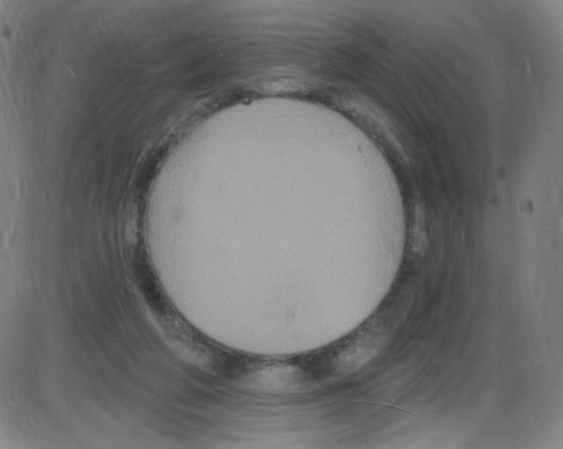 X0000084050210200703161905