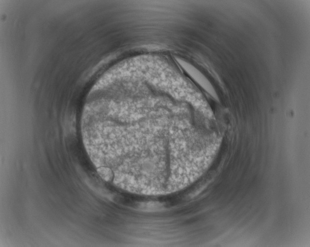 X0000084050212200703161905