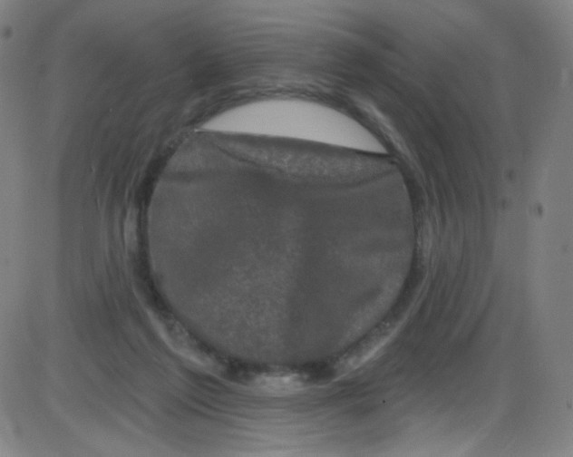 X0000084050213200703161905