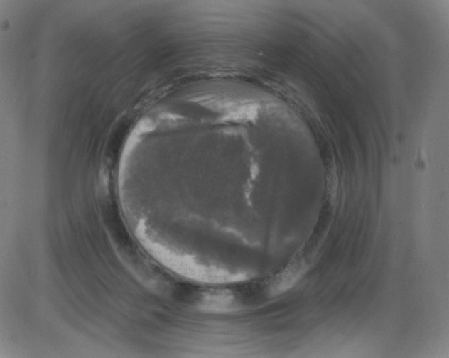 X0000084050214200703161905