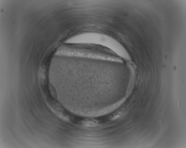 X0000084050215200703161905