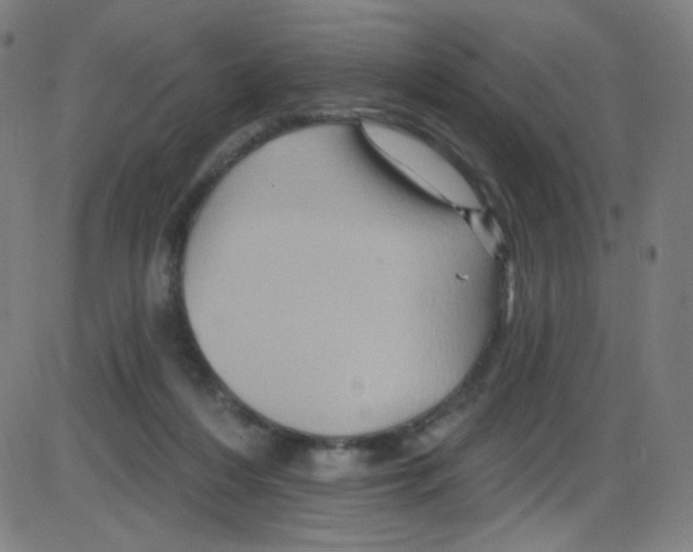 X0000084050216200703161905