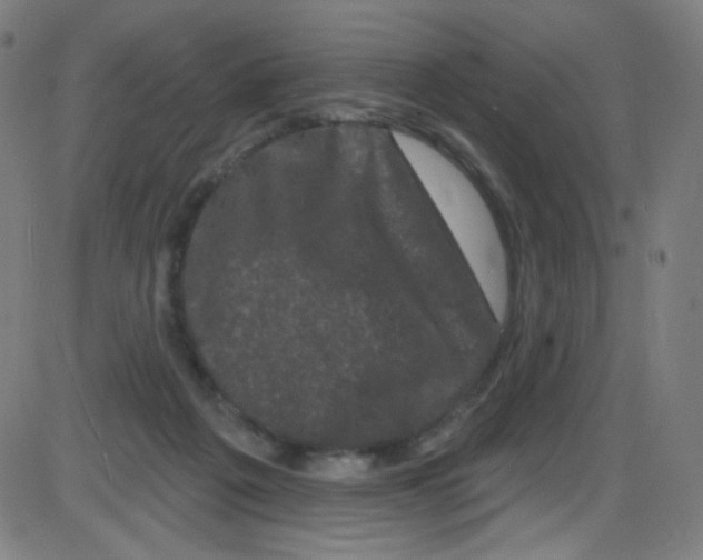 X0000084050217200703161905