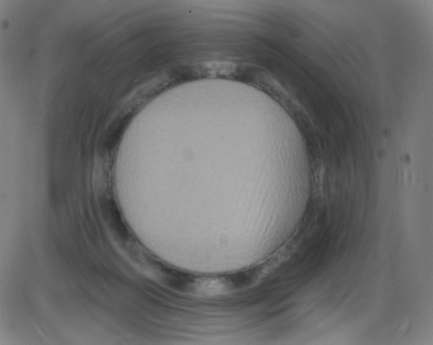 X0000084050218200703161905