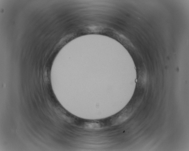 X0000084050220200703161905