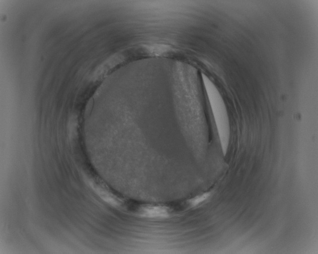 X0000084050221200703161905