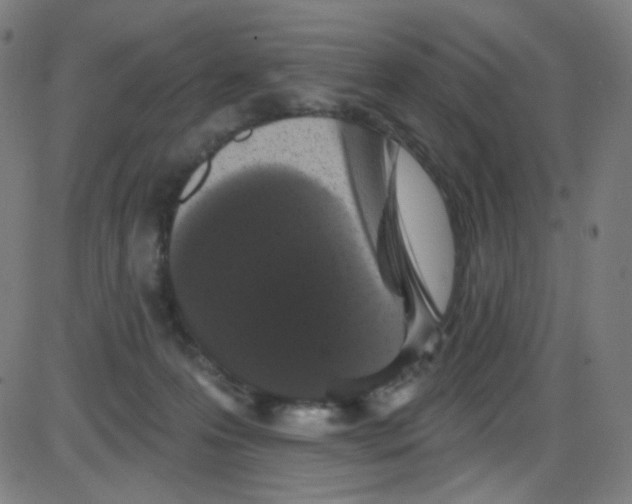 X0000084050223200703161905