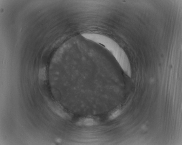 X0000084050224200703161905