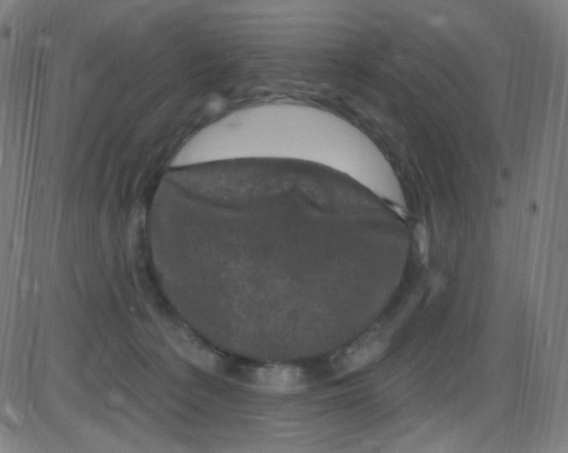 X0000084050225200703161905