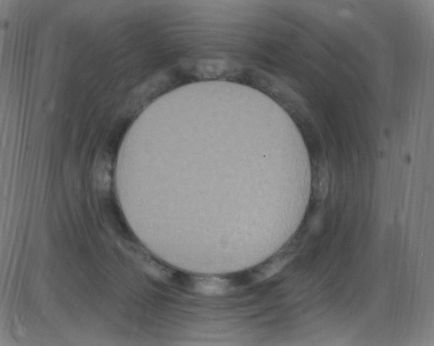 X0000084050226200703161905