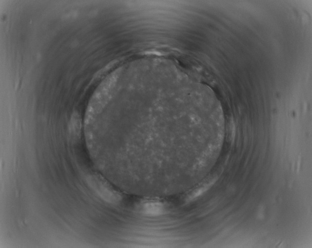 X0000084050228200703161905