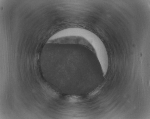 X0000084050229200703161905