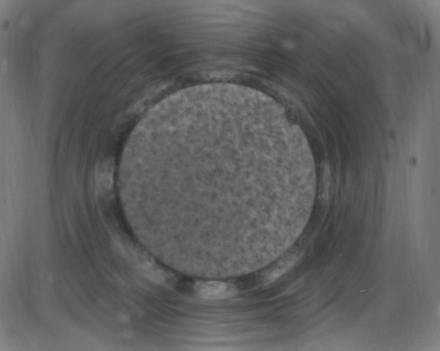 X0000084050230200703161905