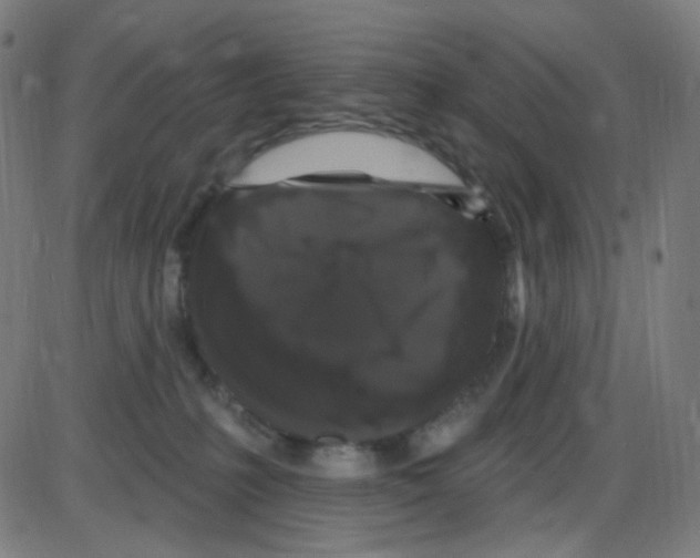 X0000084050231200703161905