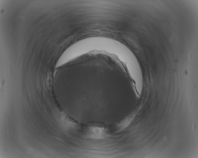 X0000084050233200703161905