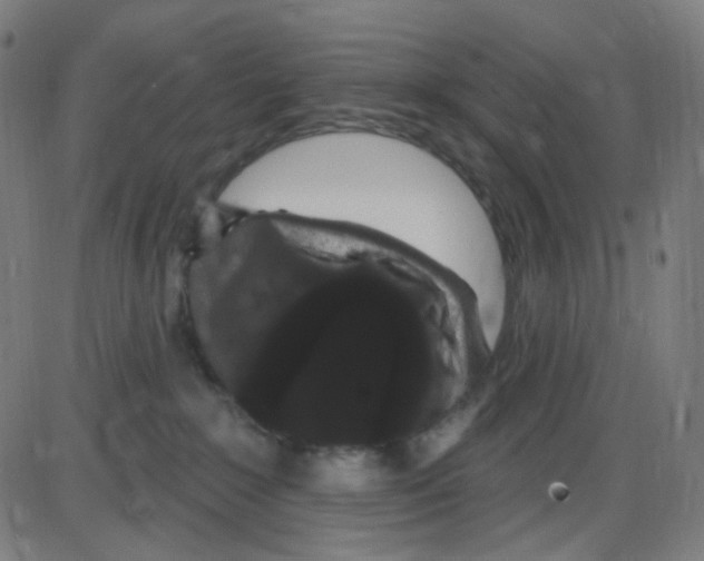 X0000084050235200703161905